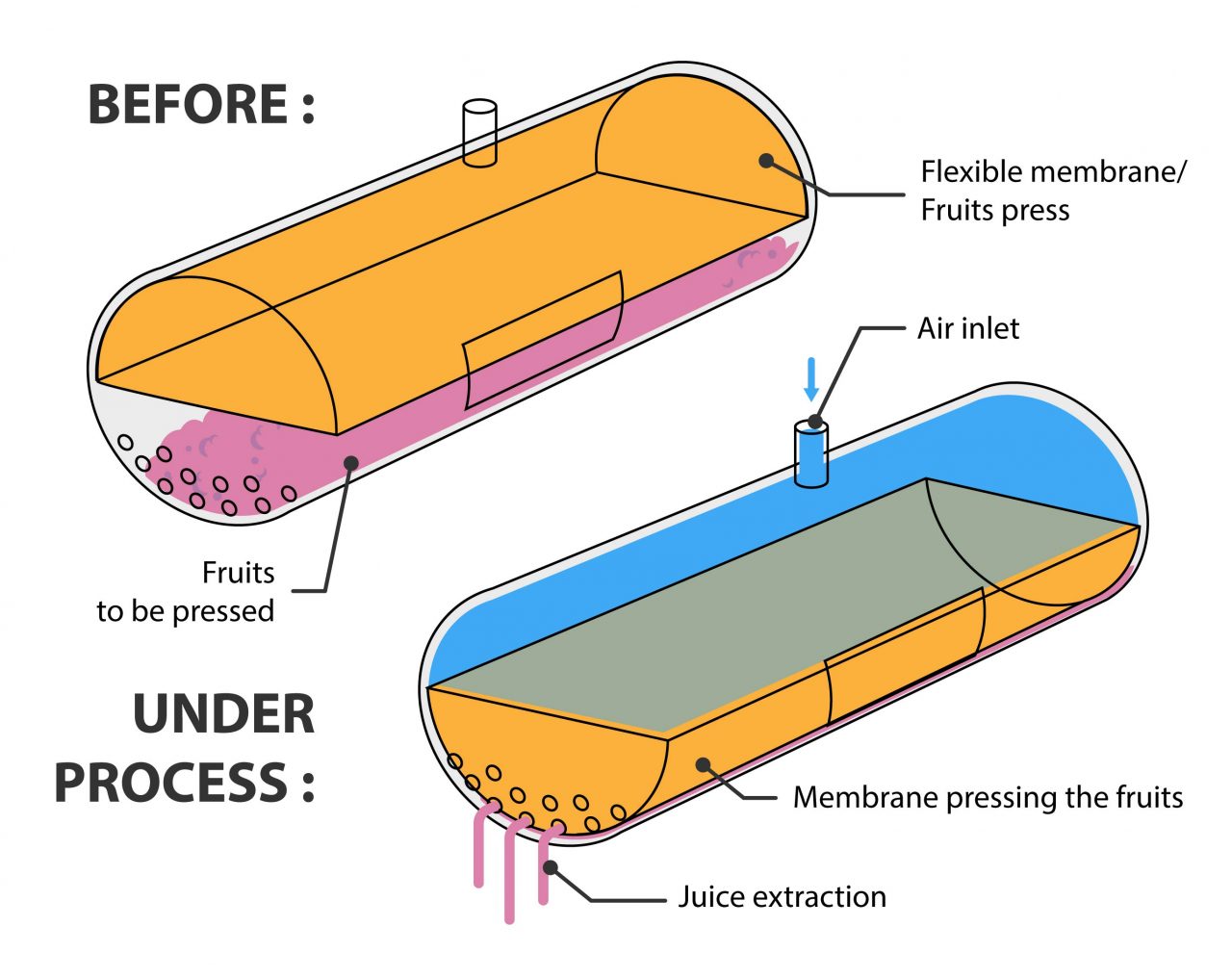functional scheme about flexible membrane use