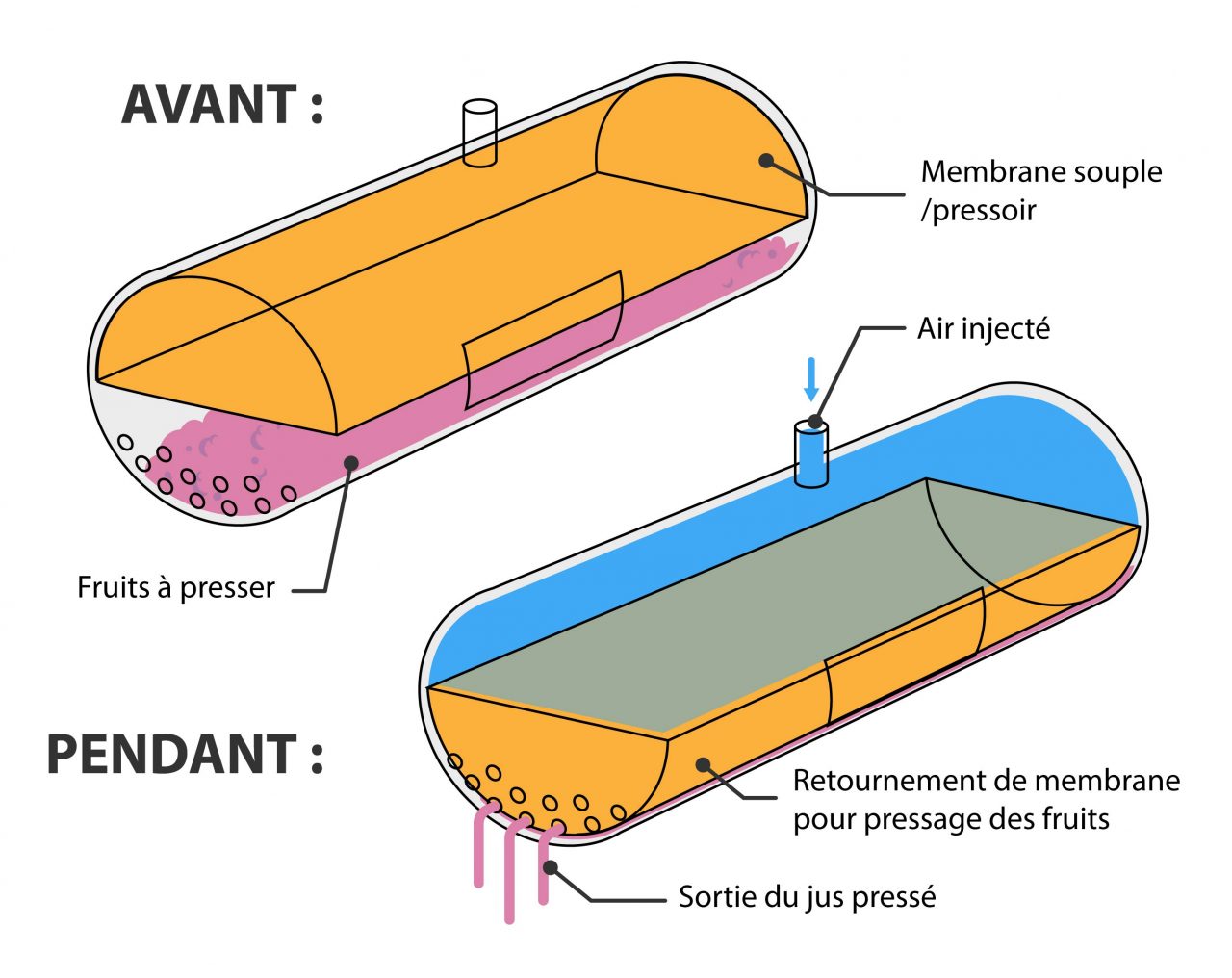 Esquema funcional sobre el uso de membranas flexibles
