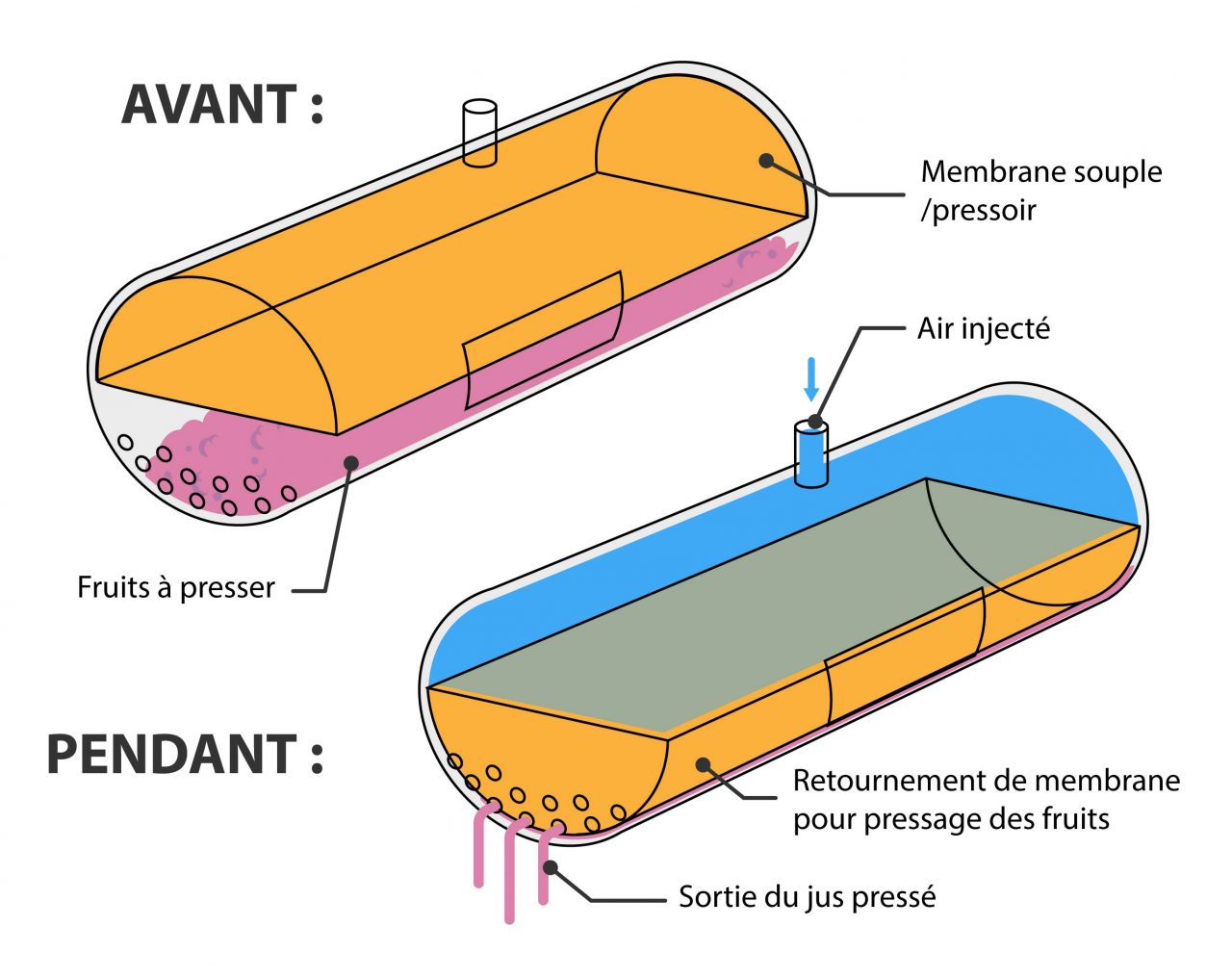 Membrane souple pour le pressage de fruits