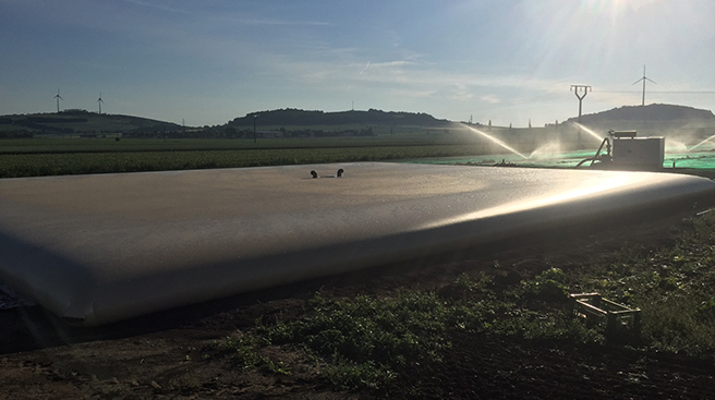 Water storage tank for irrigation